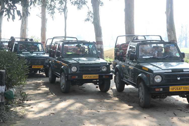 Dudhwa National Park Safari
