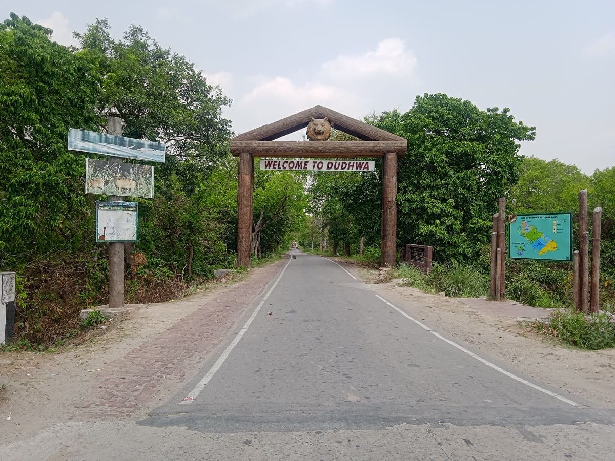 Dudhwa Safari Gate