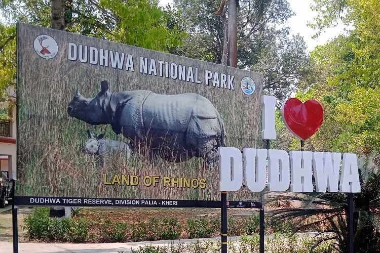 Dudhwa National Park Travel Guide