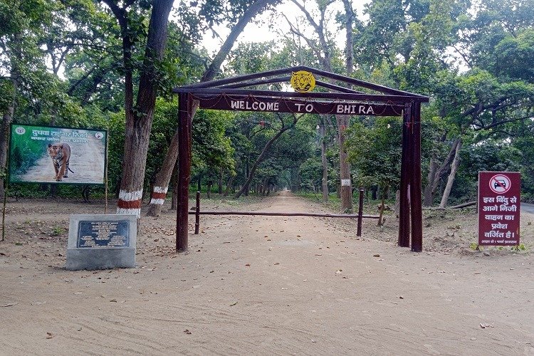 Dudhwa National Park tour packages