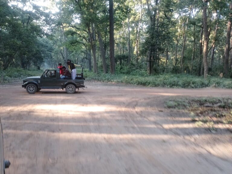 Safari in Dudhwa