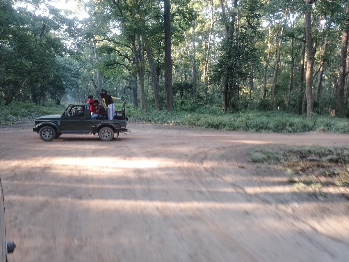 Safari in Dudhwa