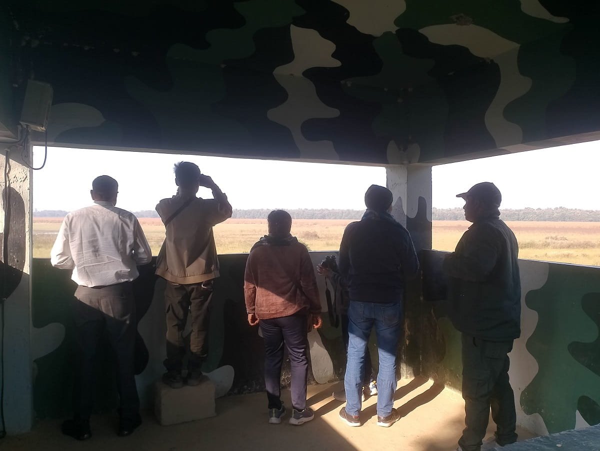 Why Eco-Tourism Is Important for Wildlife Conservation