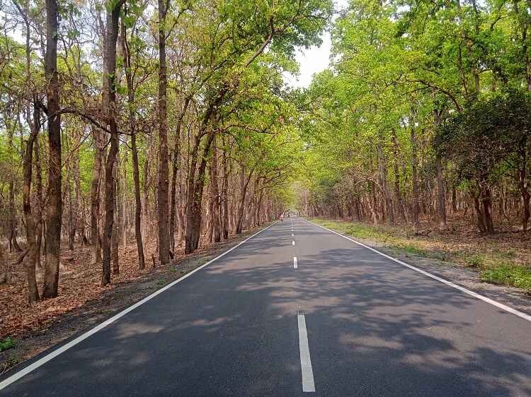 Why Terai Arc Landscape is a Hidden Wildlife Paradise