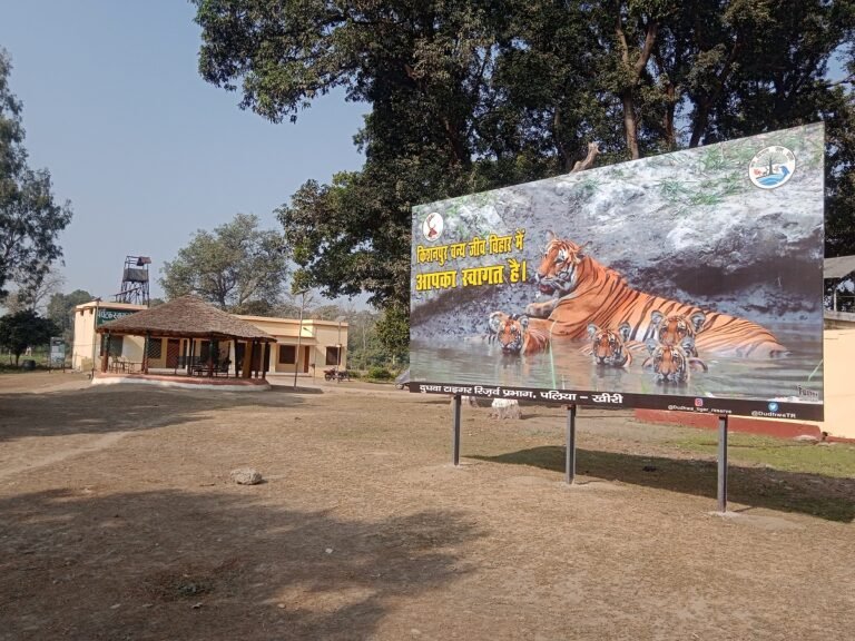 Kishanpur Wildlife Sanctuary Deserves More Attention