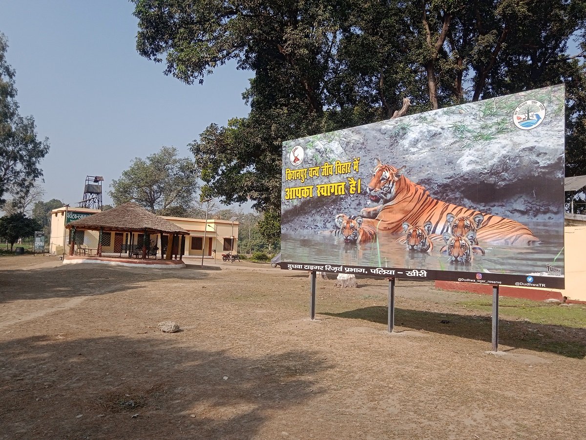 Kishanpur Wildlife Sanctuary Deserves More Attention