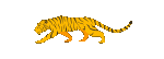 Loading Tiger Animation