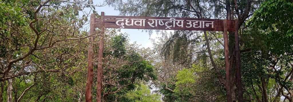 Dudhwa National Park Travel Guide