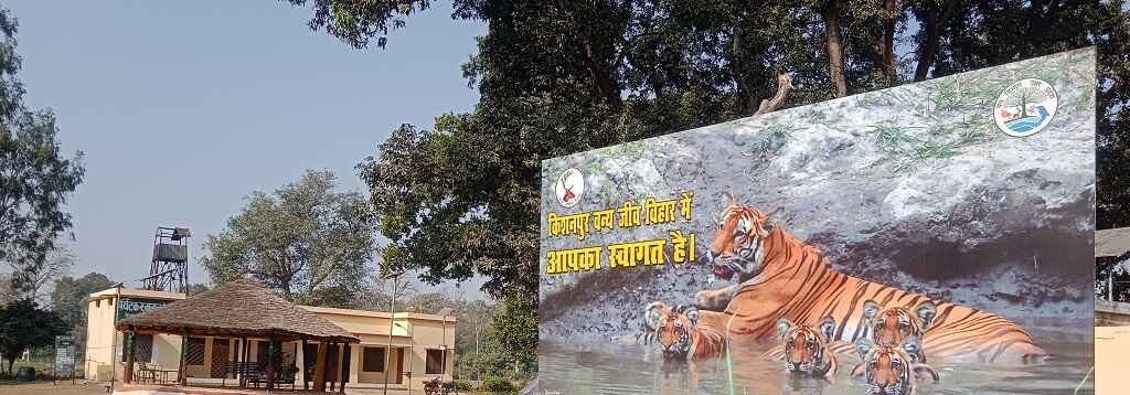 About Kishanpur Wildlife Sanctuary - Dudhwa Tiger Reserve