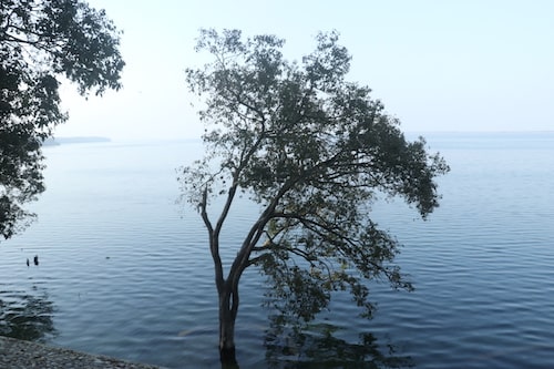 chuka beach pilibit tiger reserve
