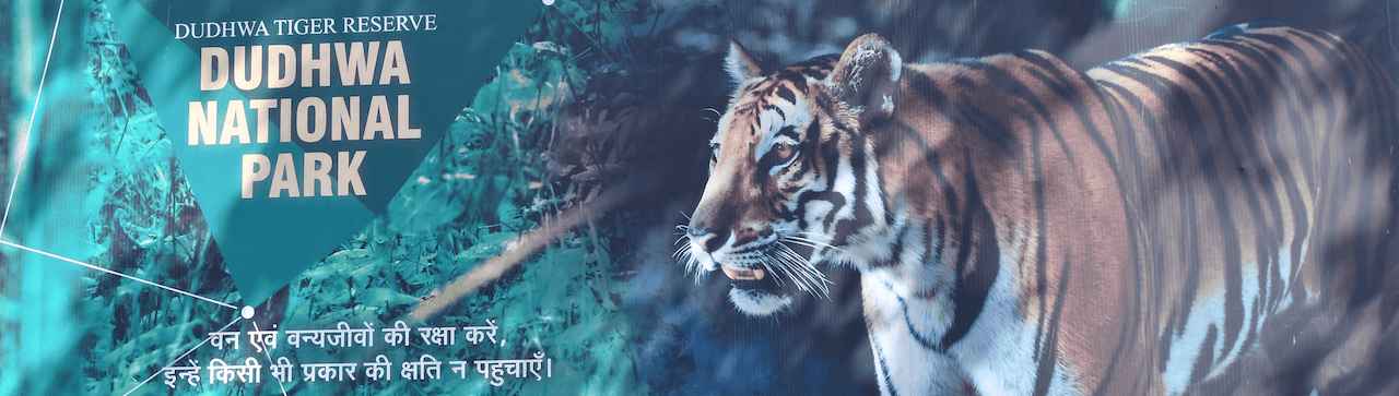 Dudhwa National Park Contact Phone Number