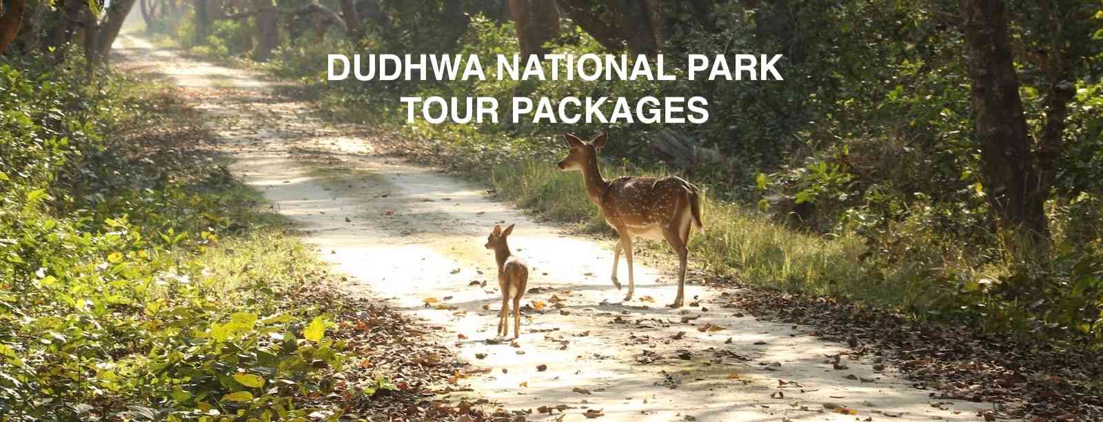 dudhwa national park holiday tour packages