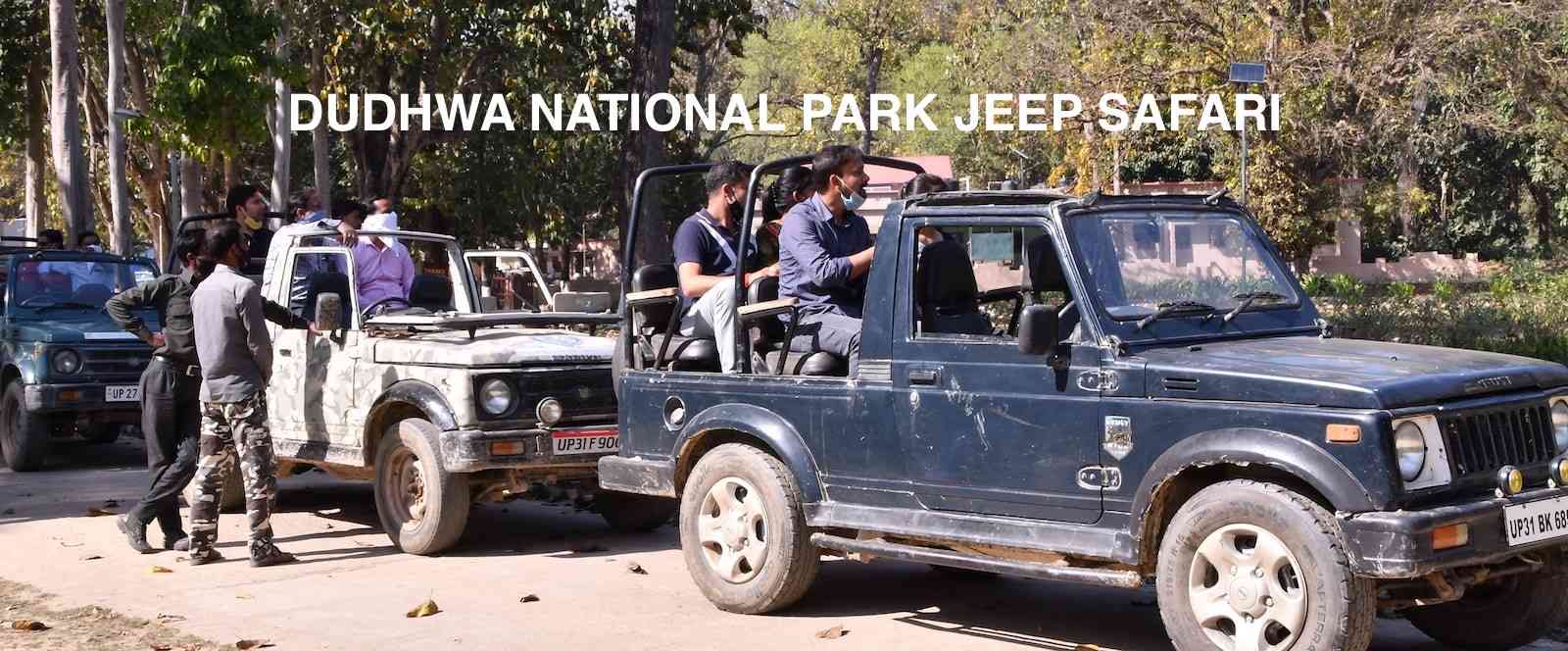 dudhwa national park jungle jeep safari