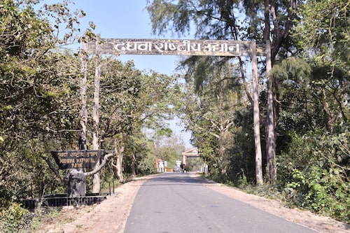 dudhwa tiger reserve