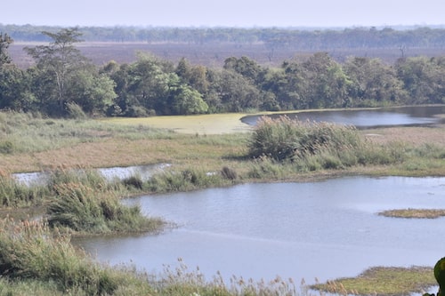 dudhwa tiger reserve