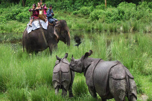dudhwa national park elephant safari