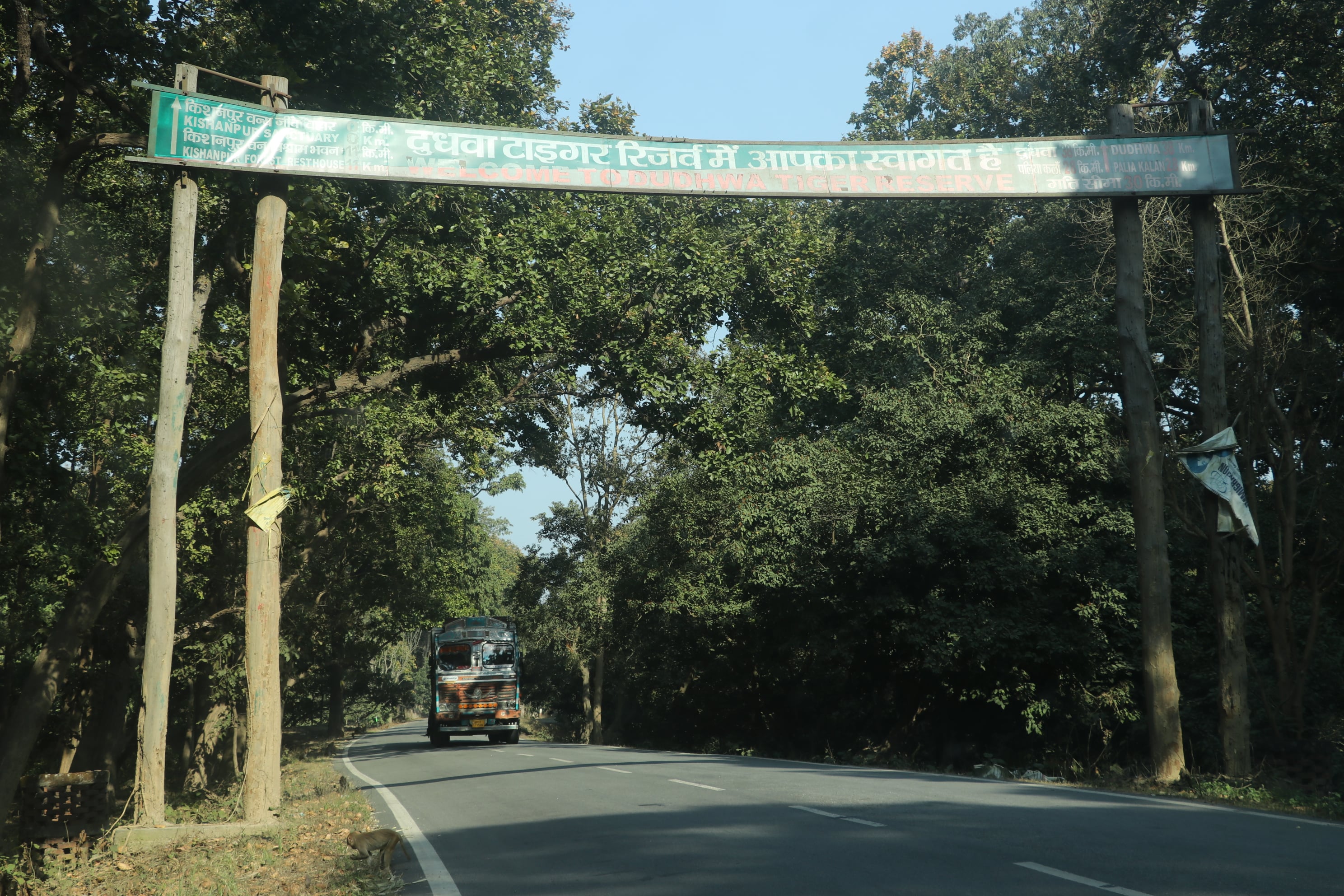 Dudhwa Wildlife Sanctuary Photo 1