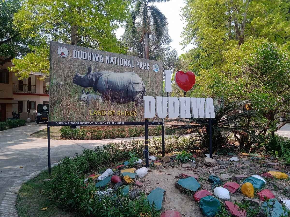 Dudhwa image 1