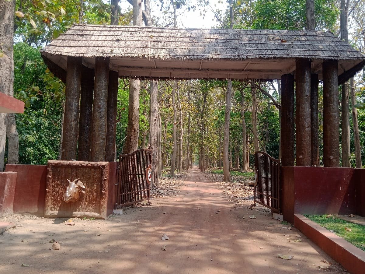 Dudhwa image 12