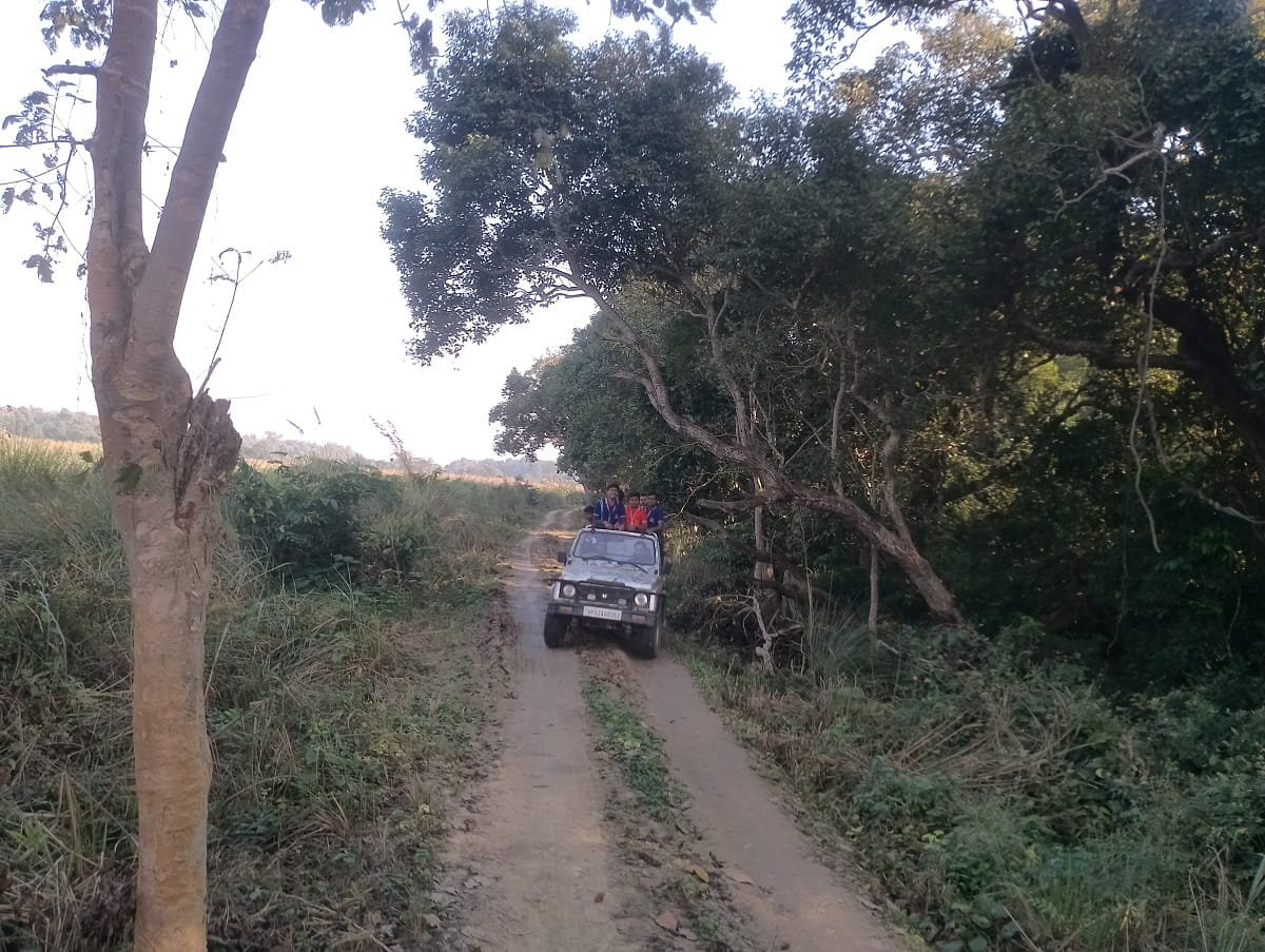 Dudhwa Wildlife Sanctuary Photo 4