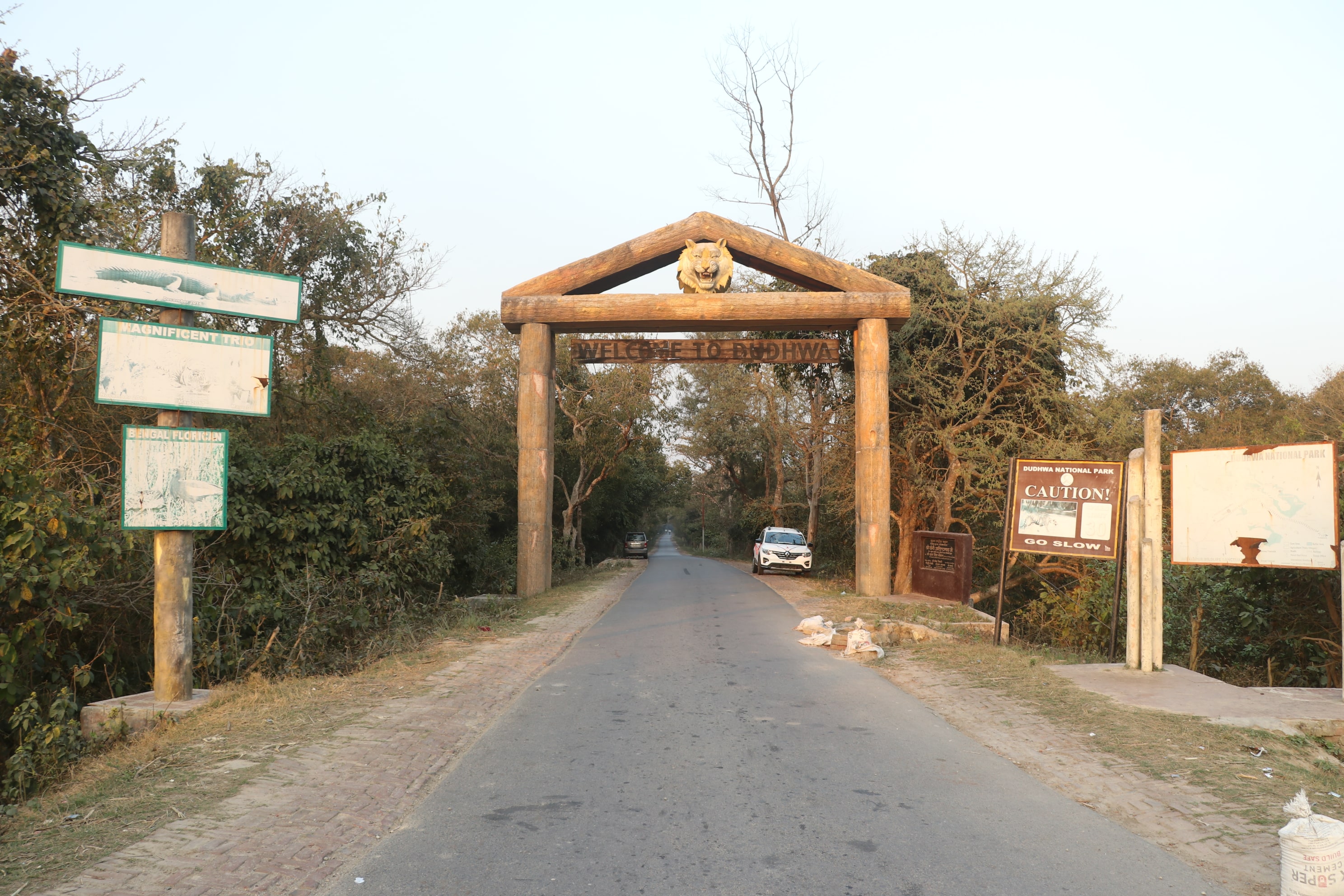 Dudhwa Wildlife Sanctuary Photo 2