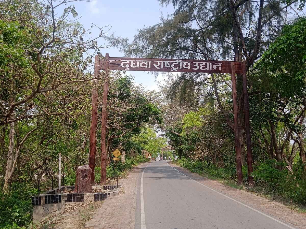 Dudhwa image 2
