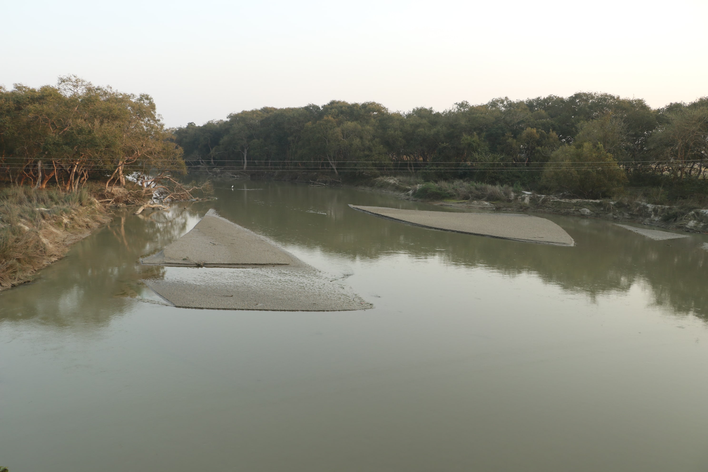 Dudhwa Wildlife Sanctuary Photo 3