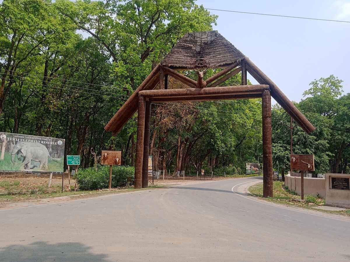 Dudhwa image 3
