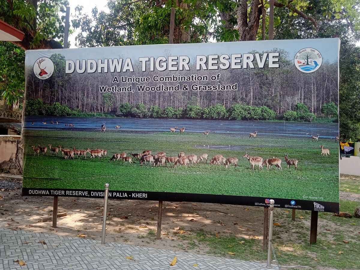 Dudhwa image 4