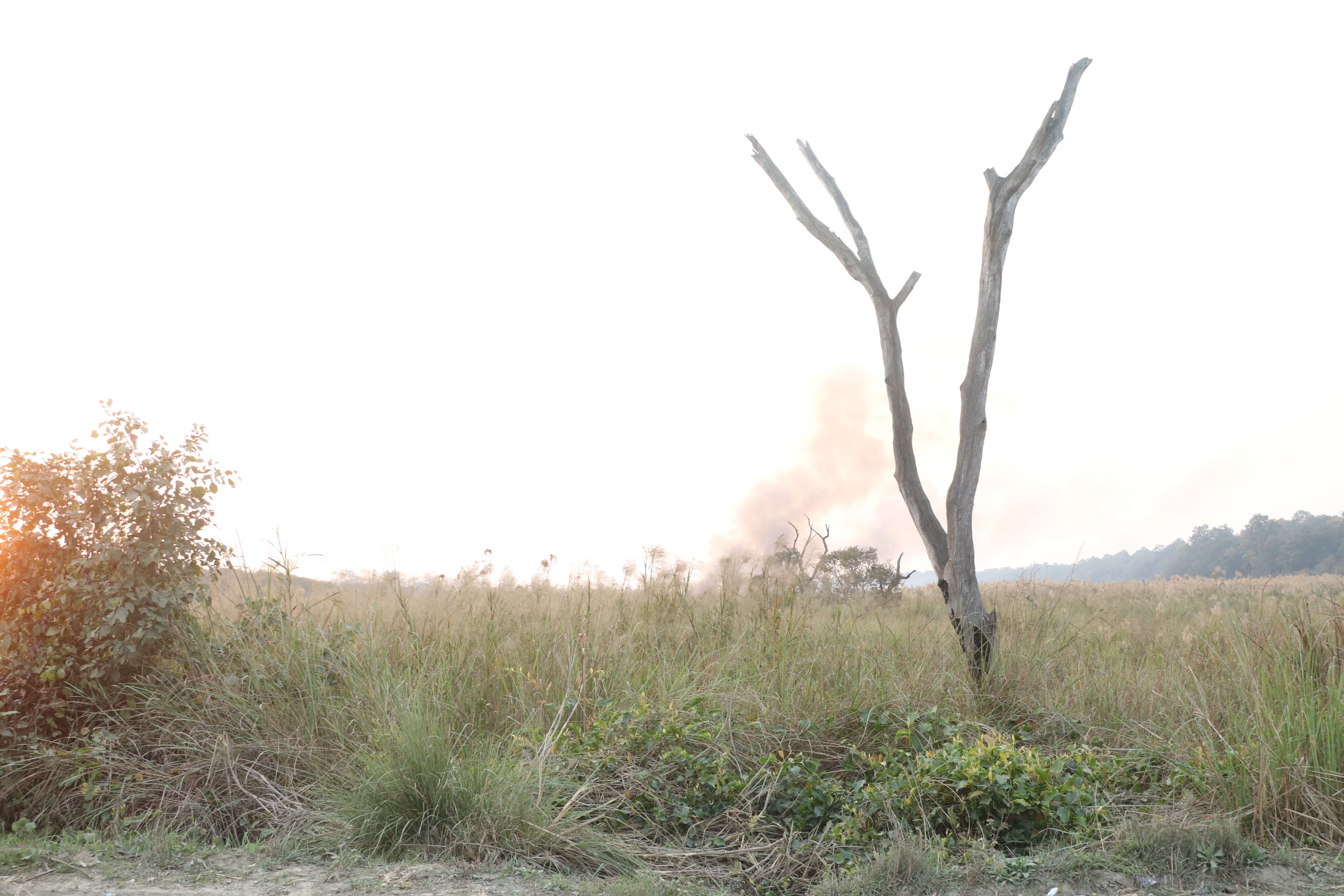 Dudhwa Wildlife Sanctuary Photo 7