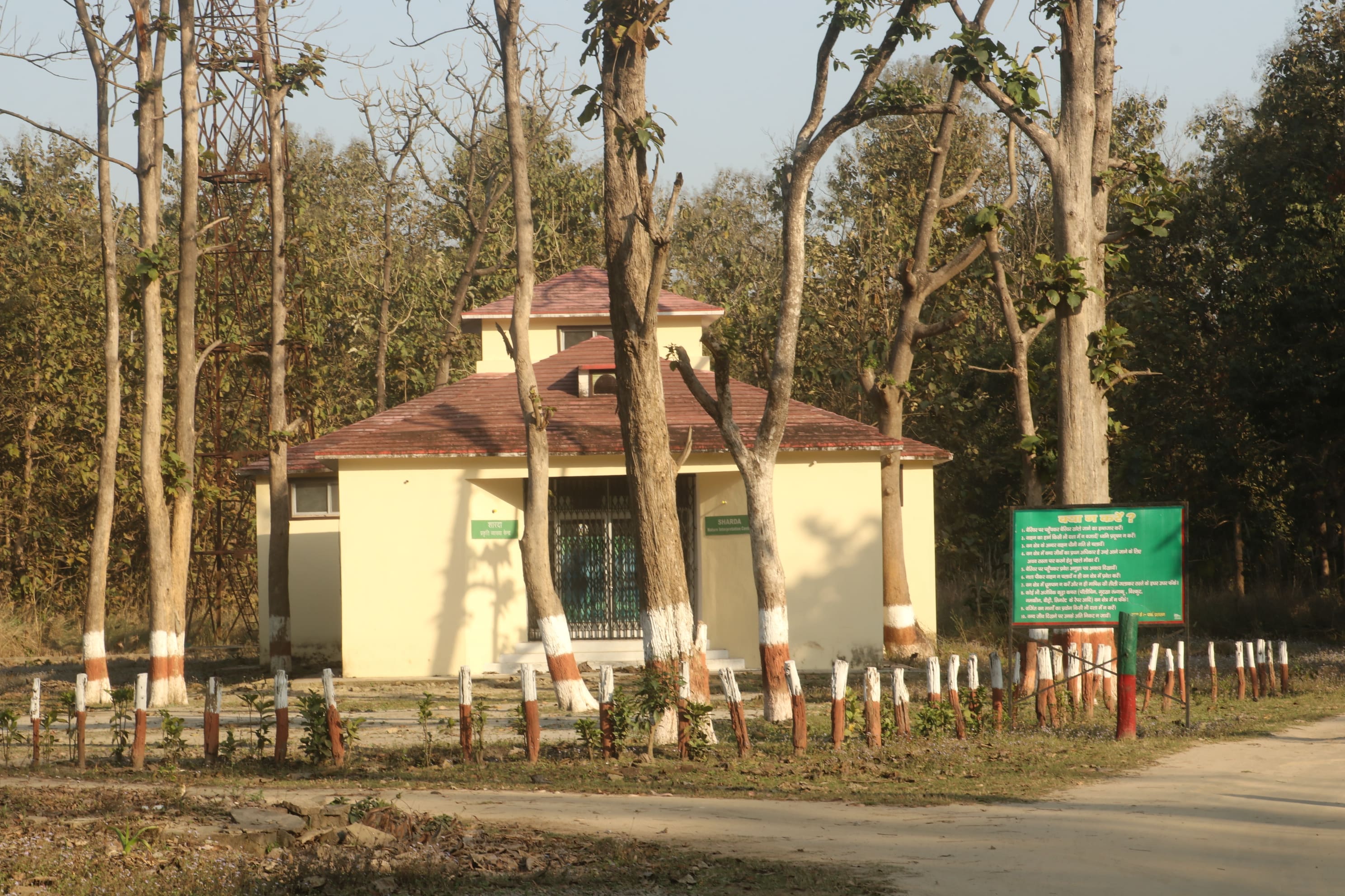 Kishanpur Wildlife Sanctuary Photo 10