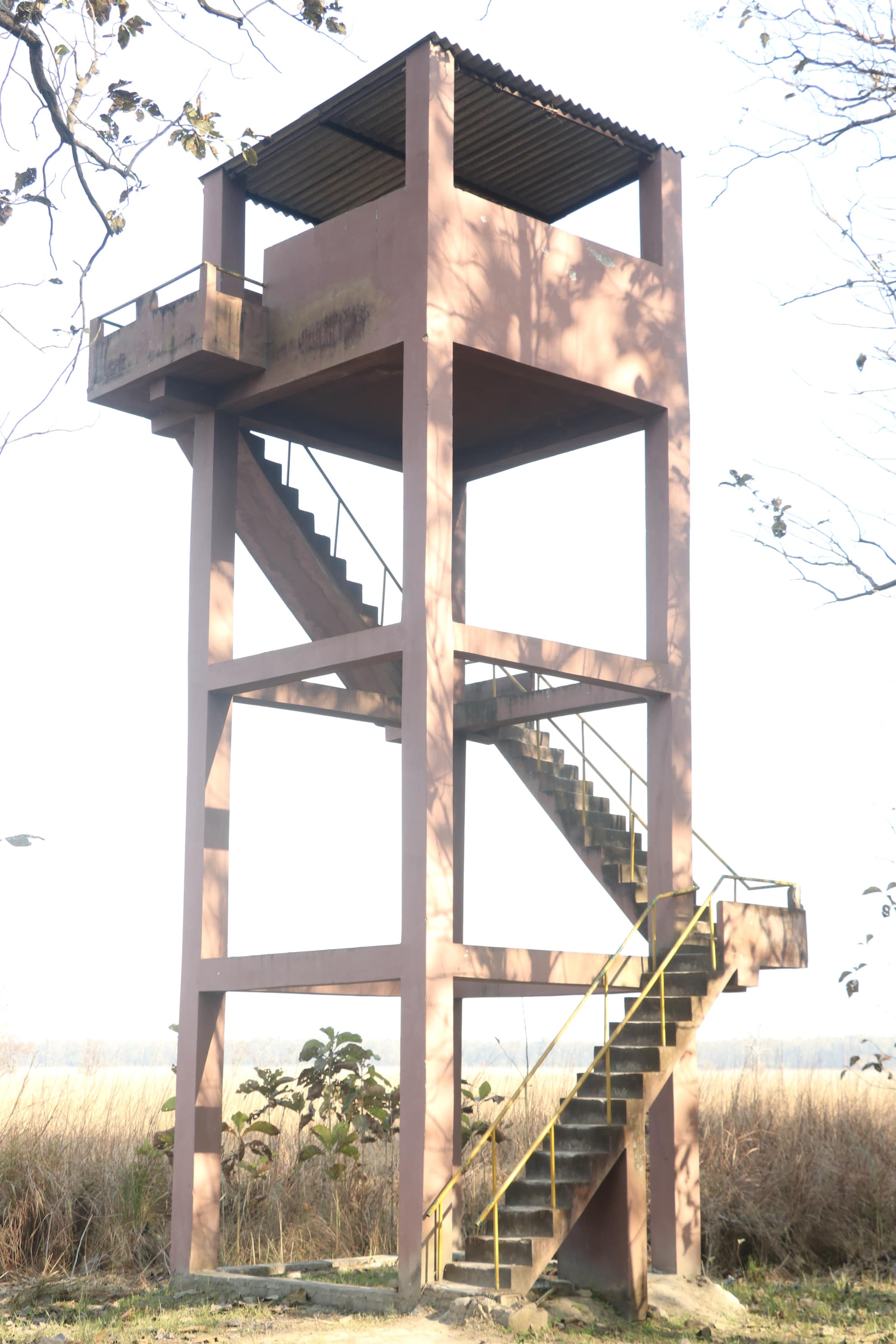 Kishanpur Wildlife Sanctuary Photo 20