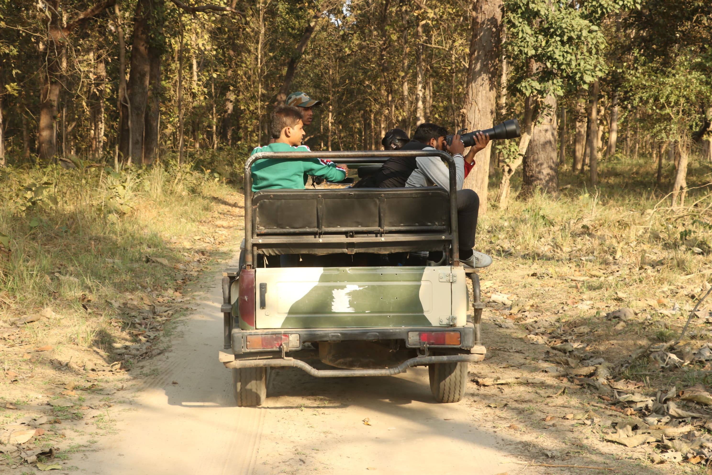 Kishanpur Wildlife Sanctuary Photo 23