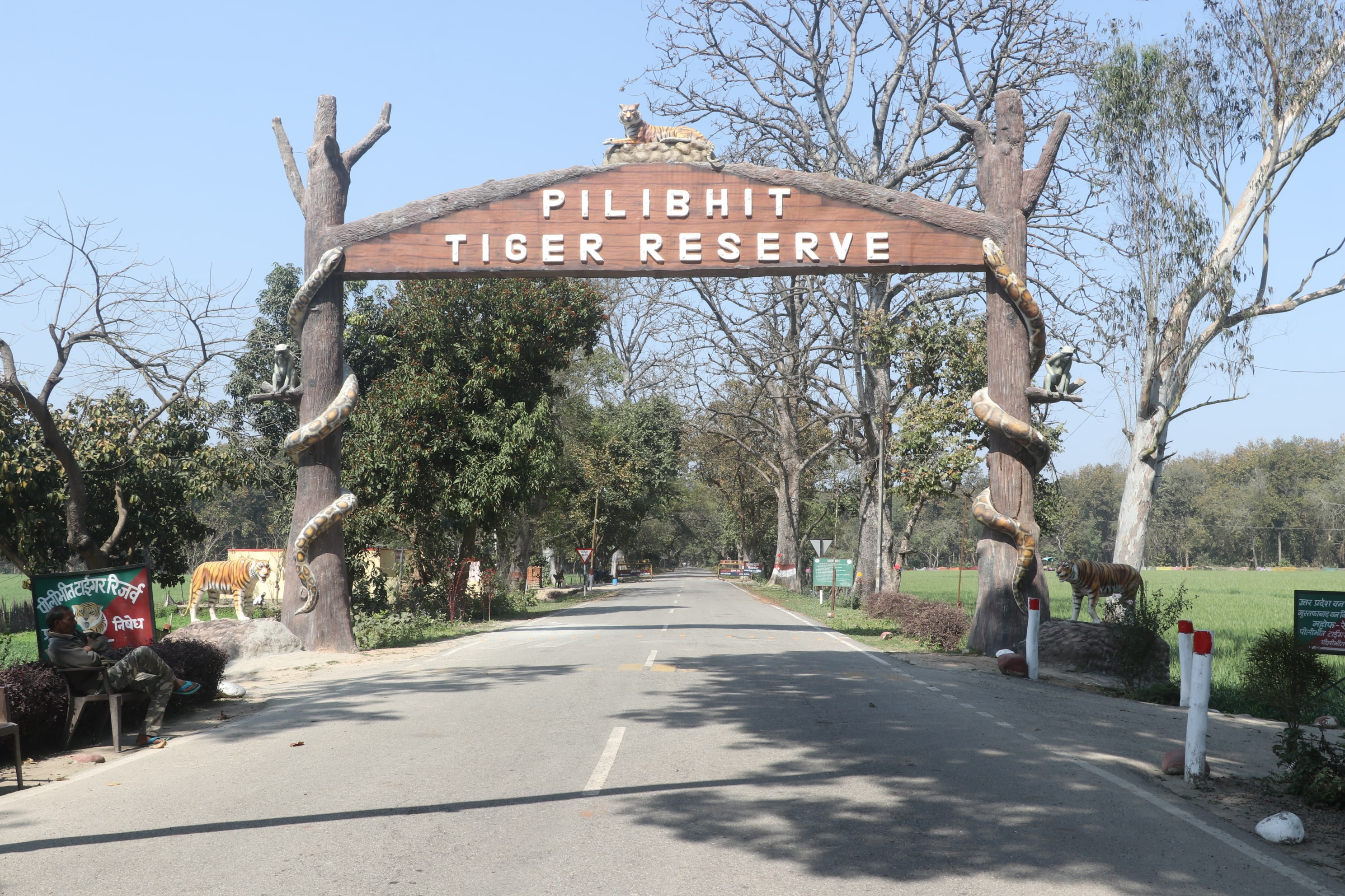 Pilibhit Tiger Reserve Wildlife Sanctuary Photo 1