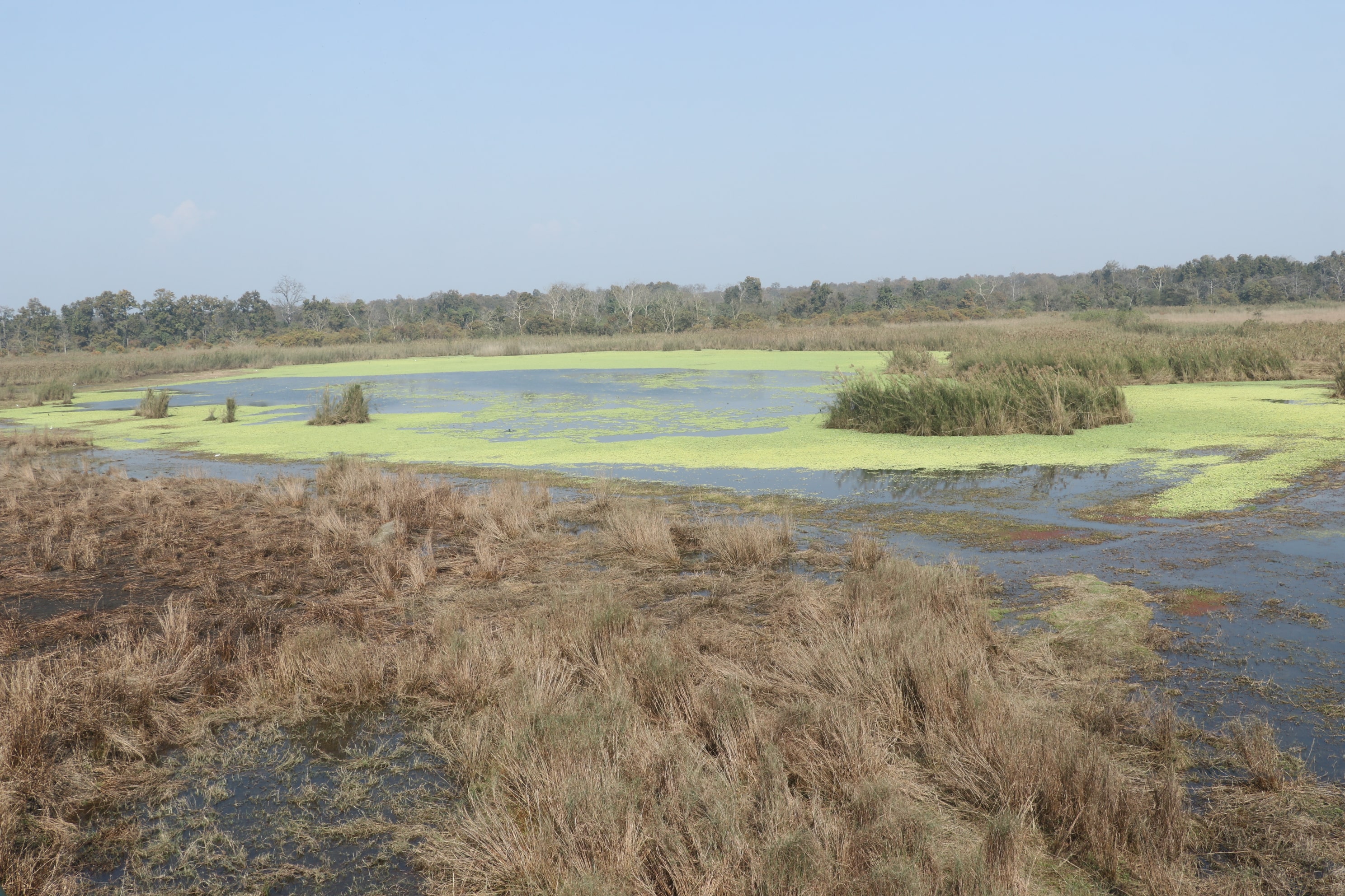 Pilibhit Tiger Reserve Wildlife Sanctuary Photo 10