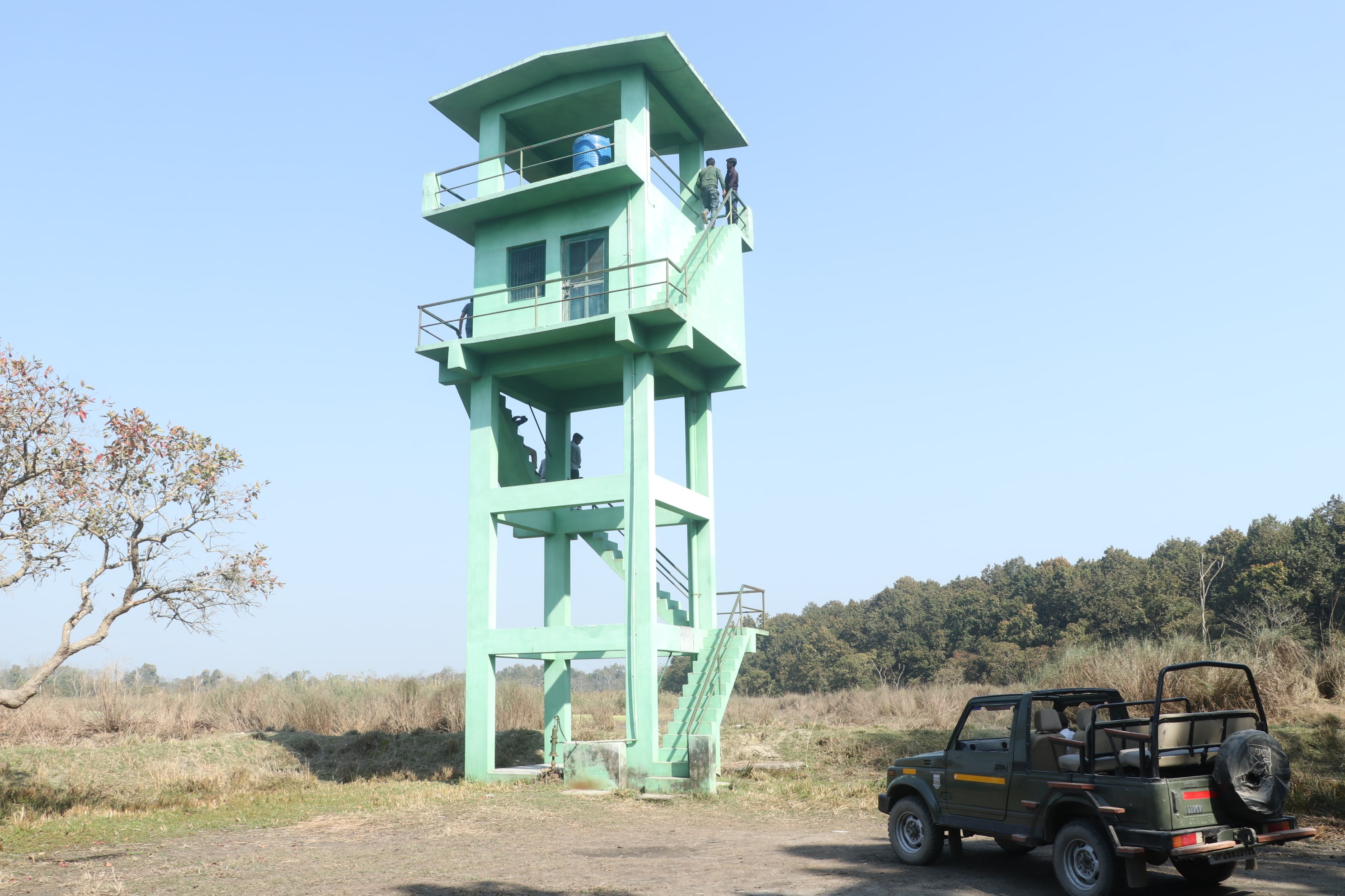 Pilibhit Tiger Reserve Wildlife Sanctuary Photo 12