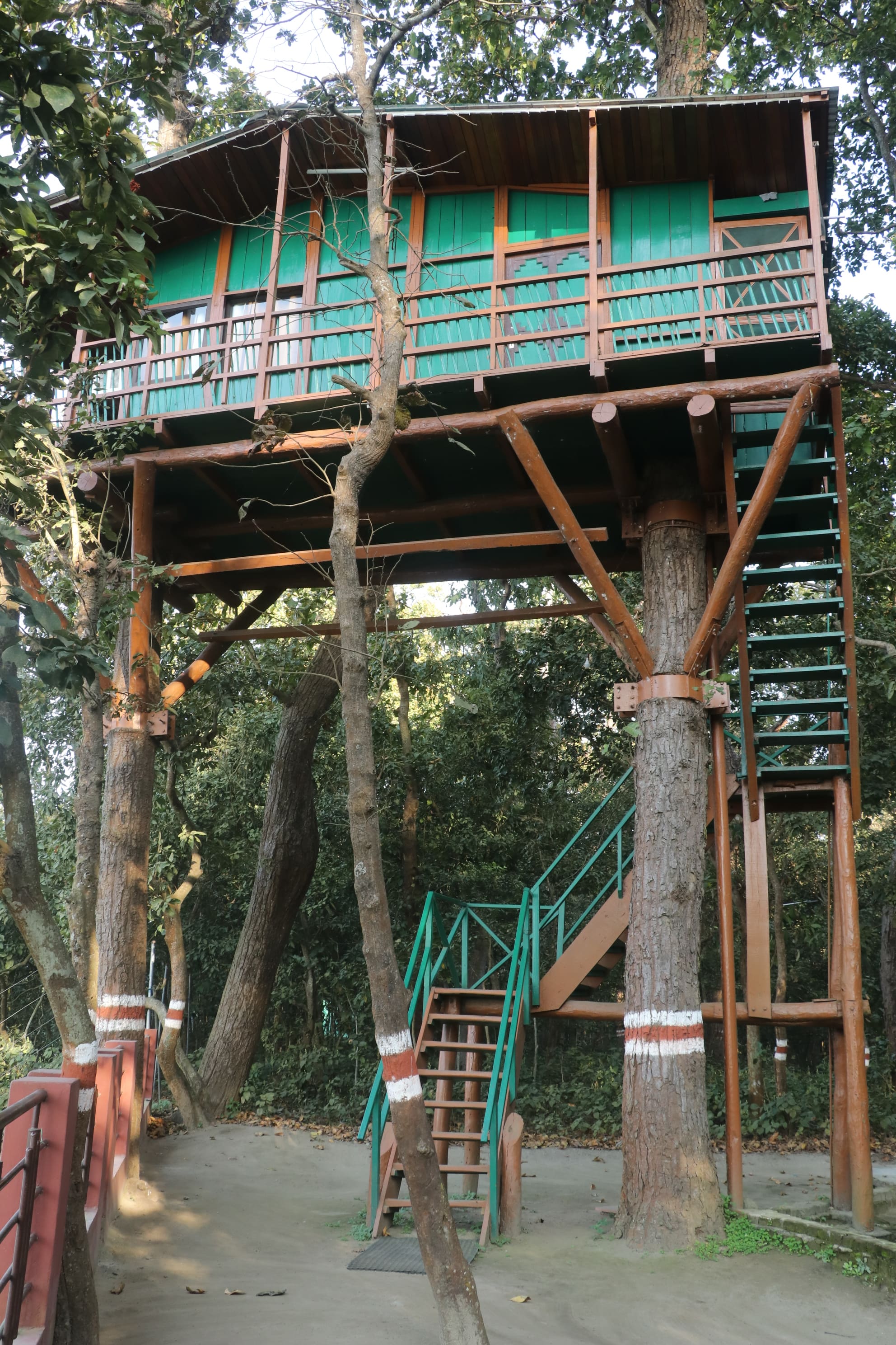 Pilibhit Tiger Reserve Wildlife Sanctuary Photo 14