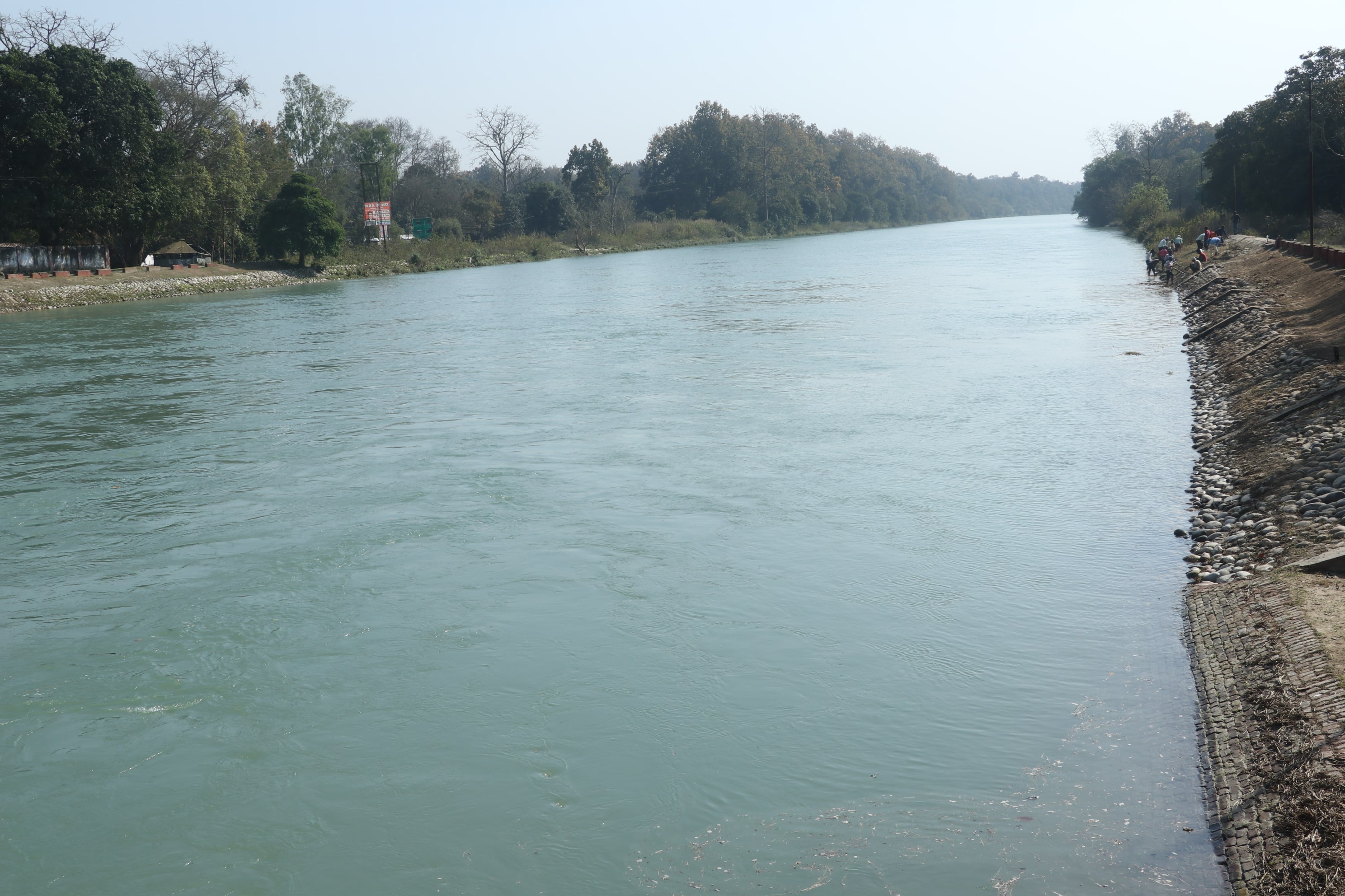 Pilibhit Tiger Reserve Wildlife Sanctuary Photo 20