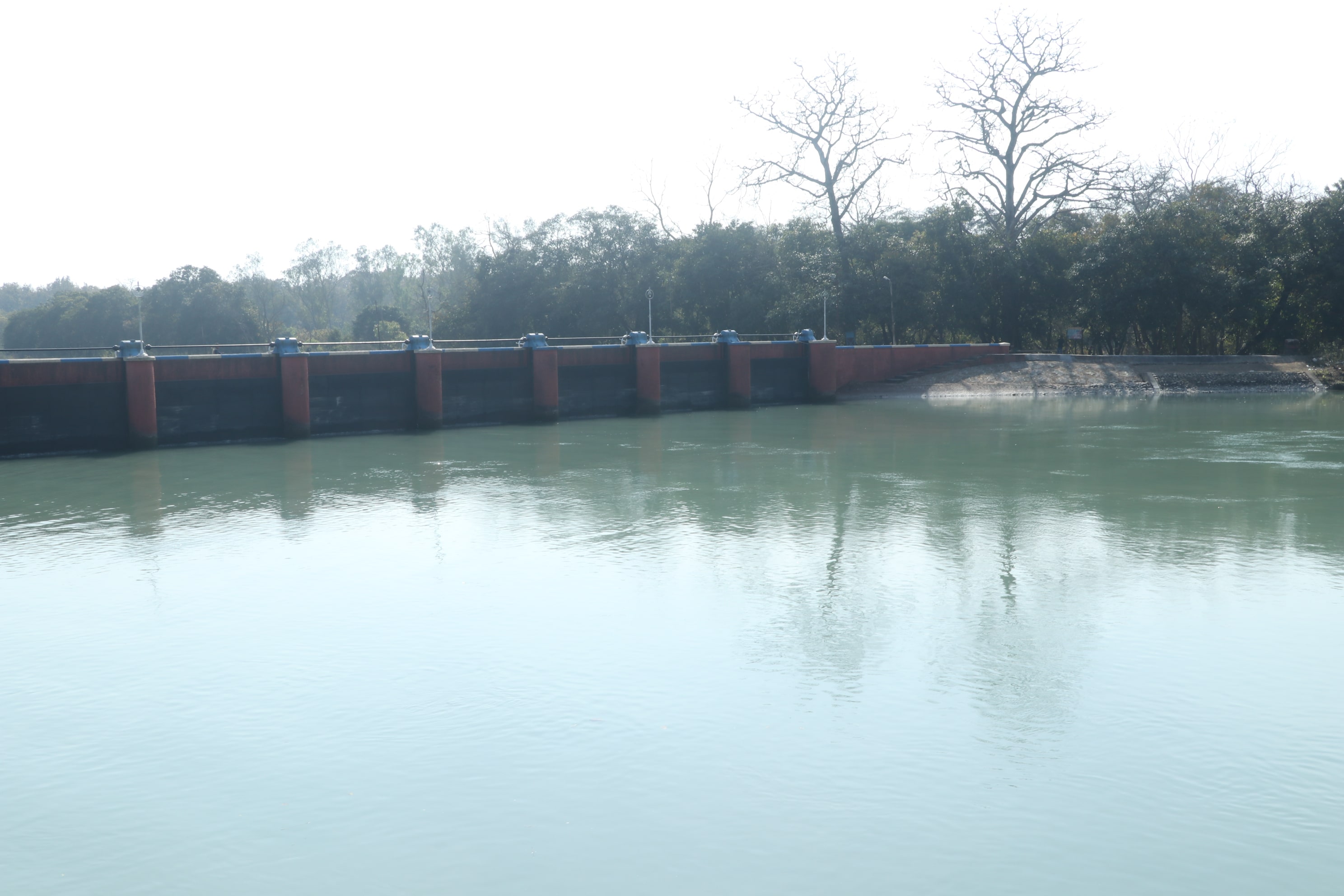 Pilibhit Tiger Reserve Wildlife Sanctuary Photo 22