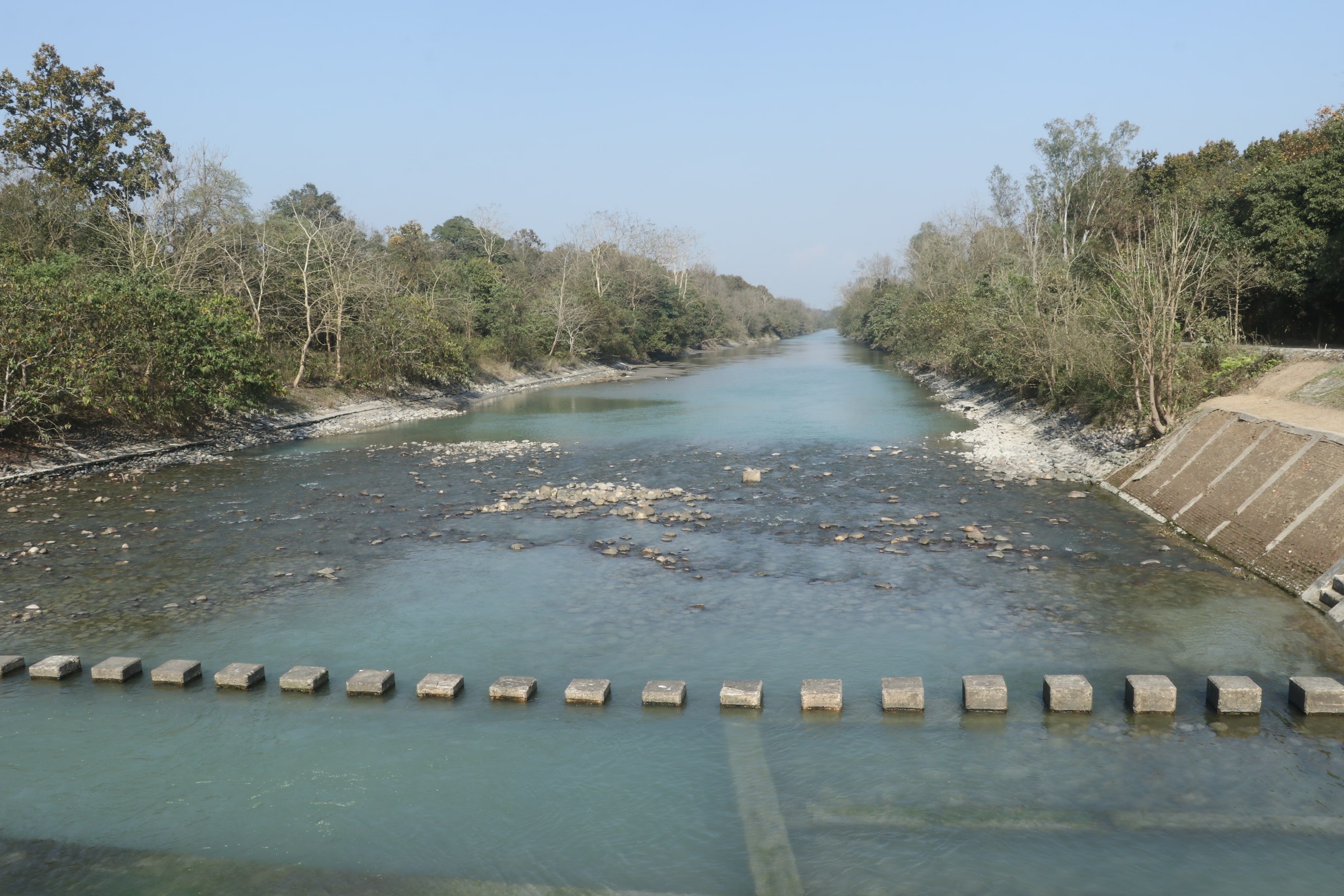 Pilibhit Tiger Reserve Wildlife Sanctuary Photo 23