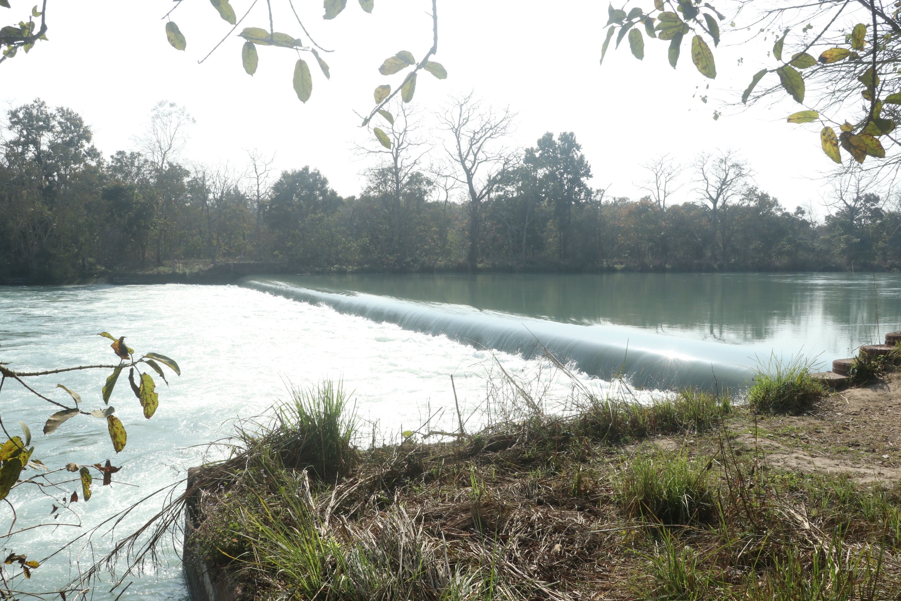 Pilibhit Tiger Reserve Wildlife Sanctuary Photo 26