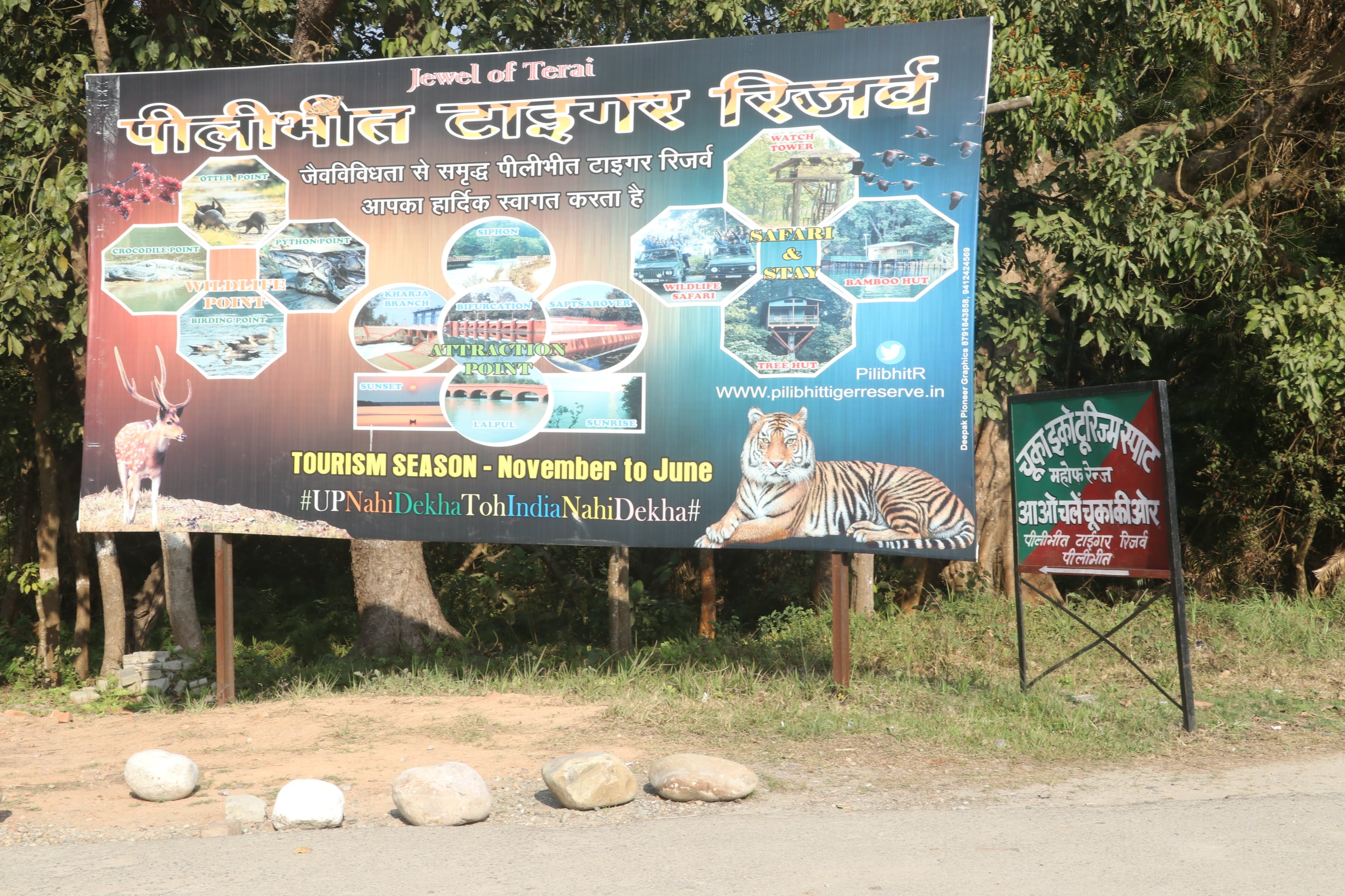 Pilibhit Tiger Reserve Wildlife Sanctuary Photo 31