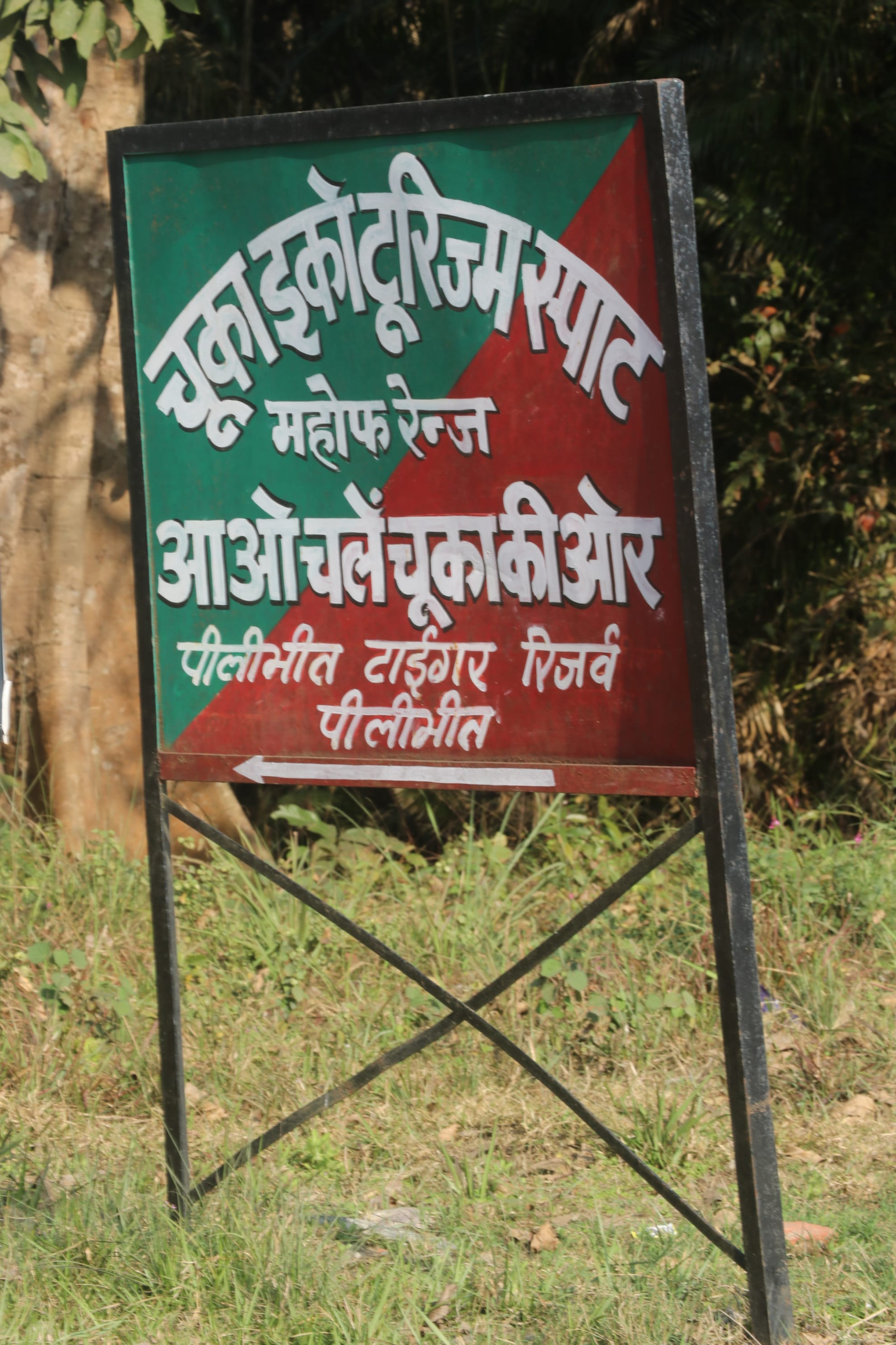 Pilibhit Tiger Reserve Wildlife Sanctuary Photo 32