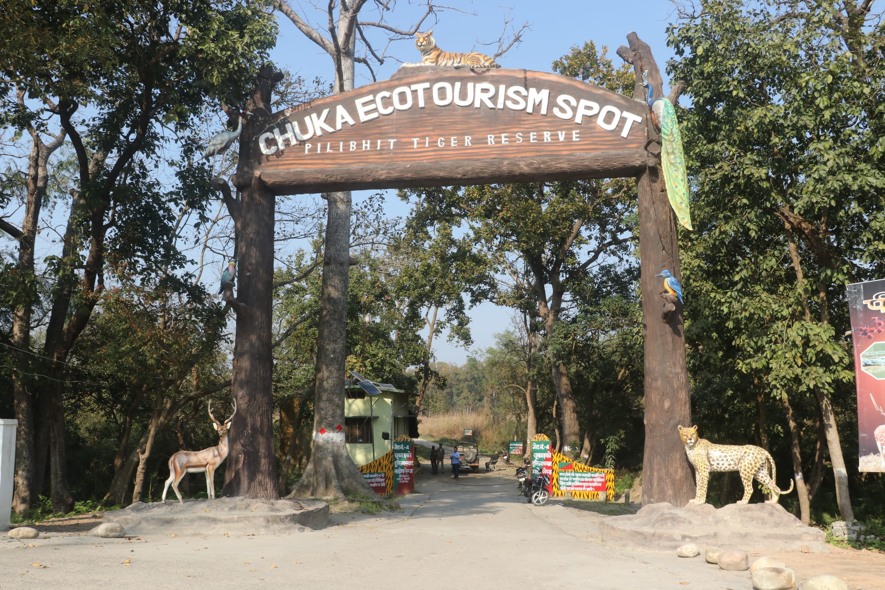 Pilibhit Tiger Reserve Wildlife Sanctuary Photo 33