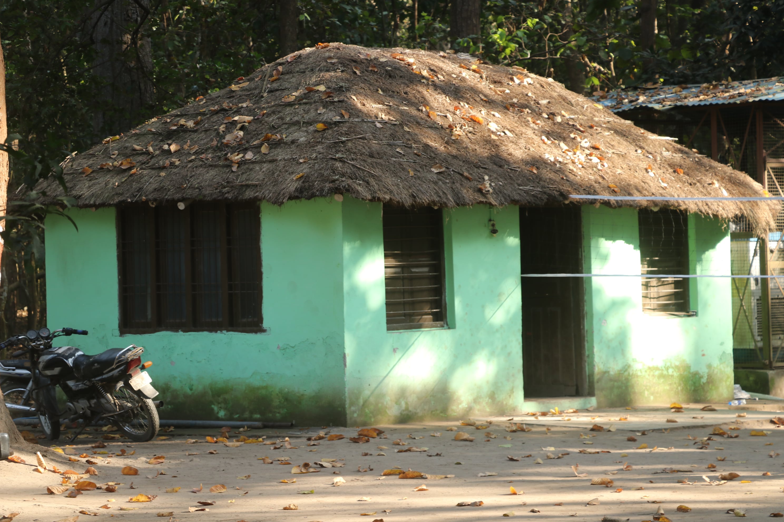 Pilibhit Tiger Reserve Wildlife Sanctuary Photo 36