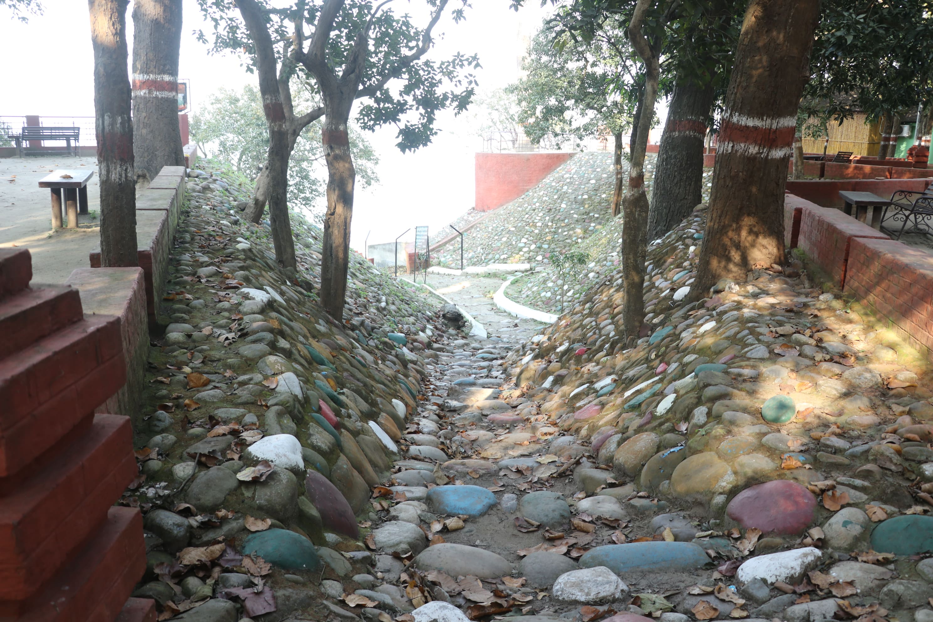Pilibhit Tiger Reserve Wildlife Sanctuary Photo 37