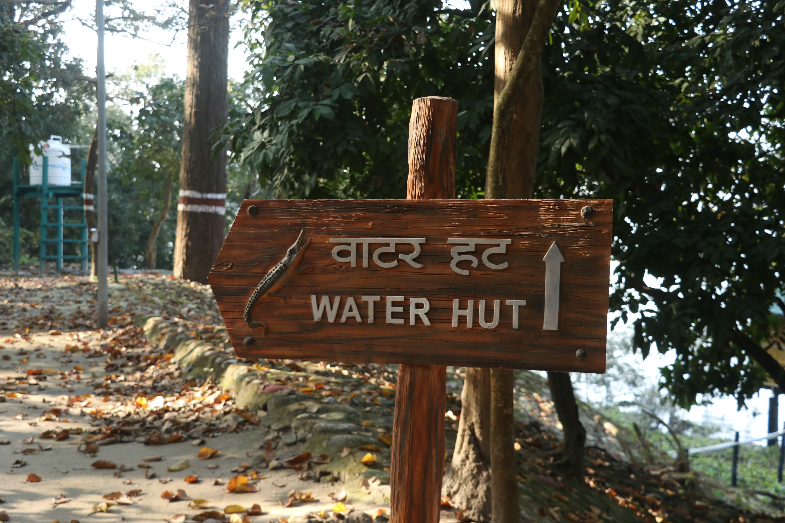 Pilibhit Tiger Reserve Wildlife Sanctuary Photo 42