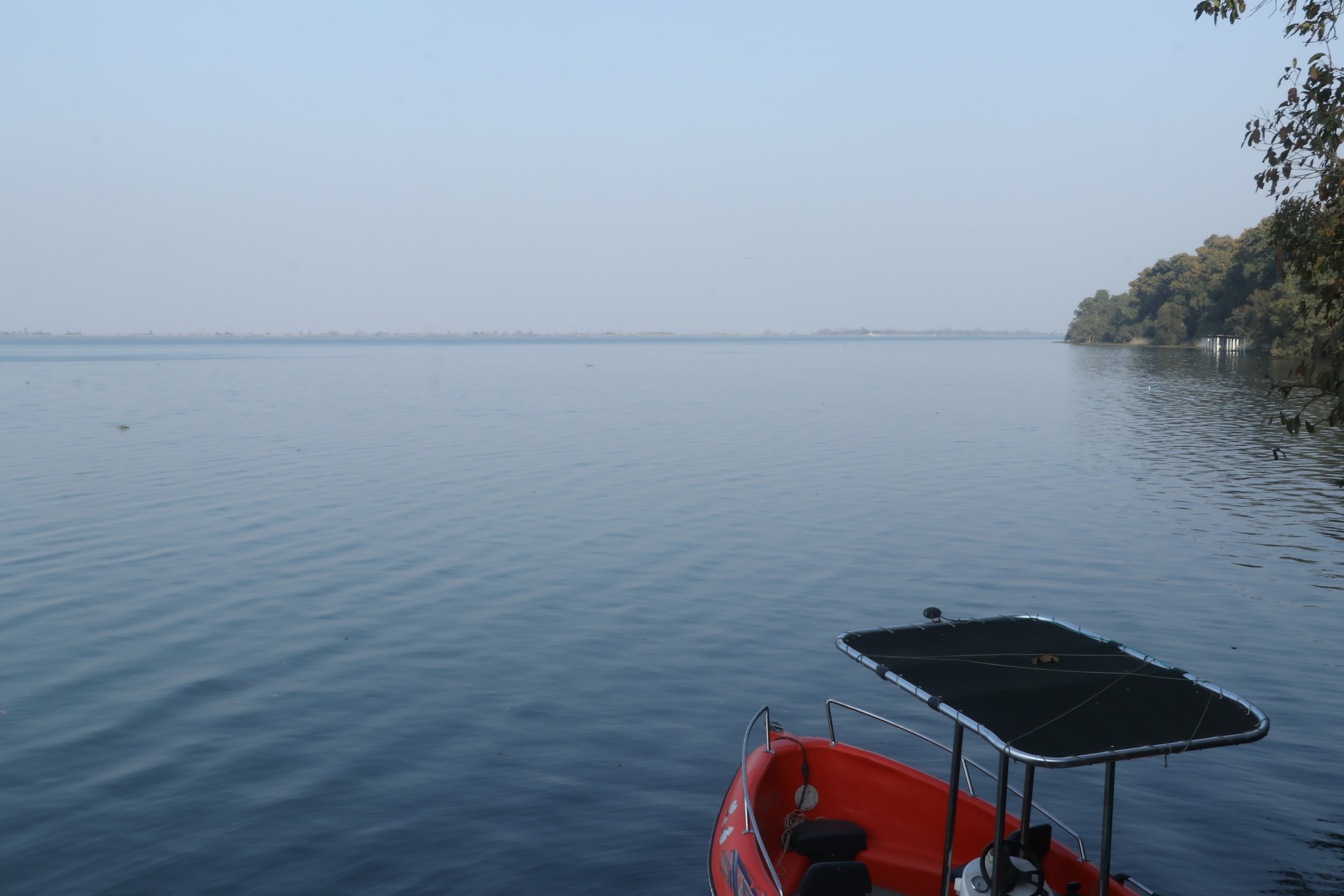 Pilibhit Tiger Reserve Wildlife Sanctuary Photo 44