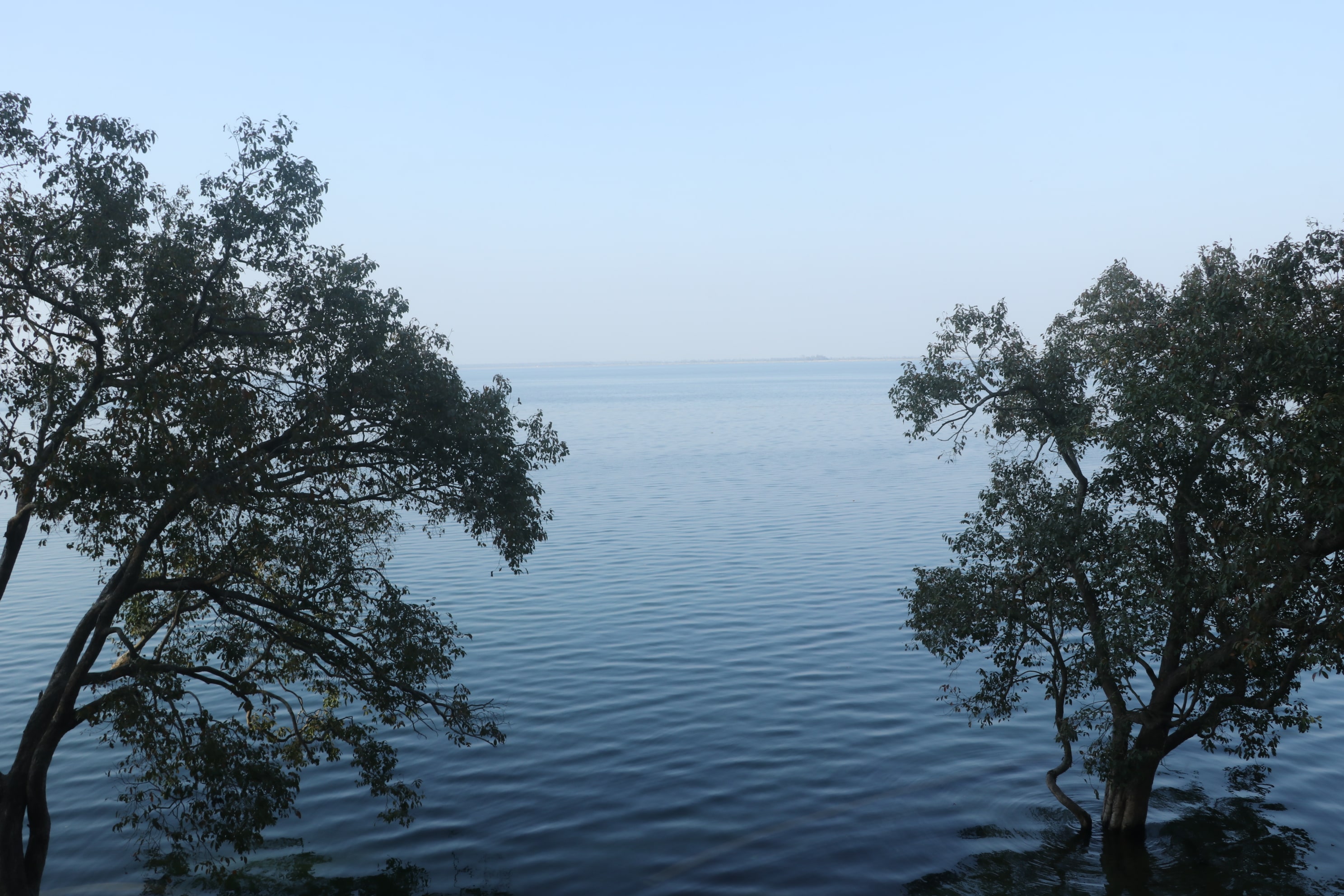 Pilibhit Tiger Reserve Wildlife Sanctuary Photo 46