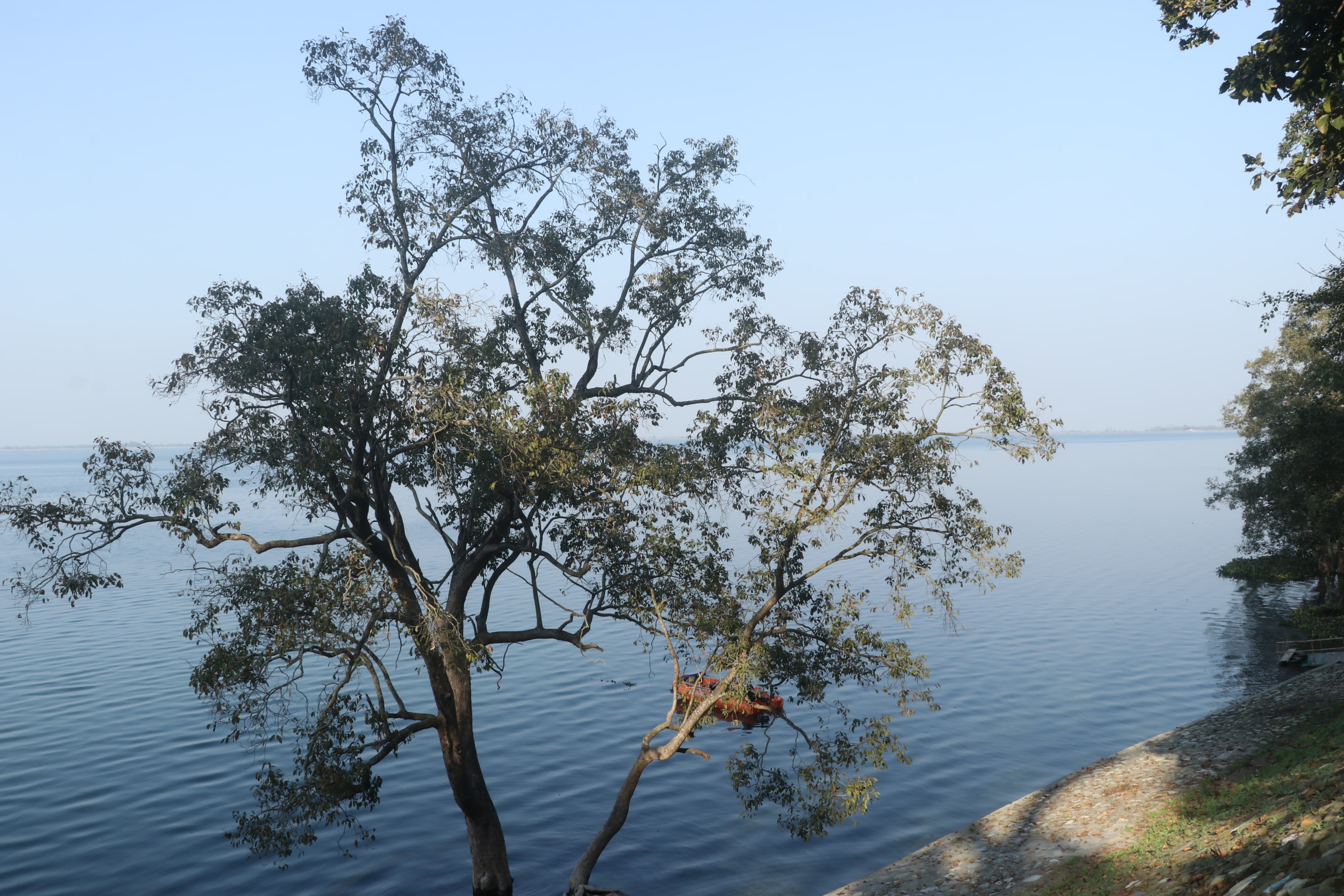 Pilibhit Tiger Reserve Wildlife Sanctuary Photo 47
